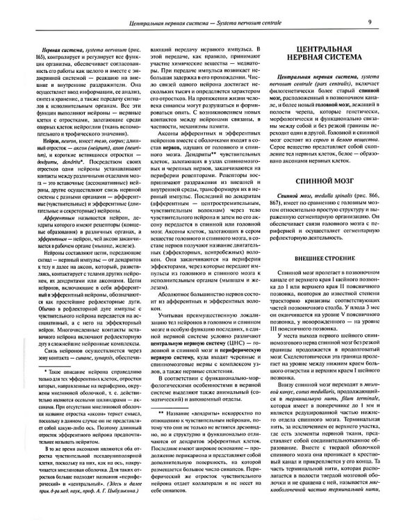 Атлас анатомии человека. В 3 т. Т. 3: Неврология. Эстезиология: Учебное пособие. 7-е изд., перераб
