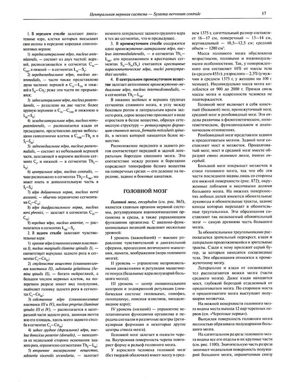 Атлас анатомии человека. В 3 т. Т. 3: Неврология. Эстезиология: Учебное пособие. 7-е изд., перераб