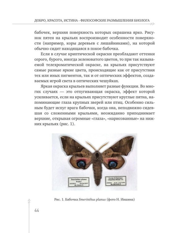 ГОВОРОВ Победитель фельдмаршалов вермахта