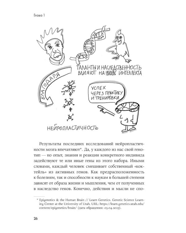 Мозг в порядке: Как улучшить память, справиться с перегрузкой и вернуть ясность ума