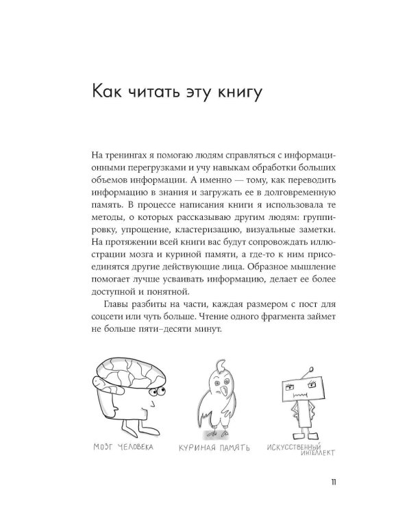 Мозг в порядке: Как улучшить память, справиться с перегрузкой и вернуть ясность ума