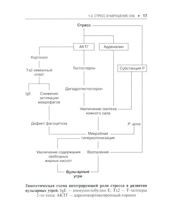 Поддерживающая терапия акне