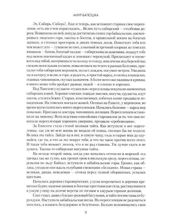 Амур-батюшка: роман