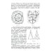 Алгоритмические и компьютерные методы в трехмерной топологии: монография. 2-е изд., испр