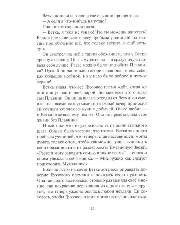 Коты-воители. Неистовая буря