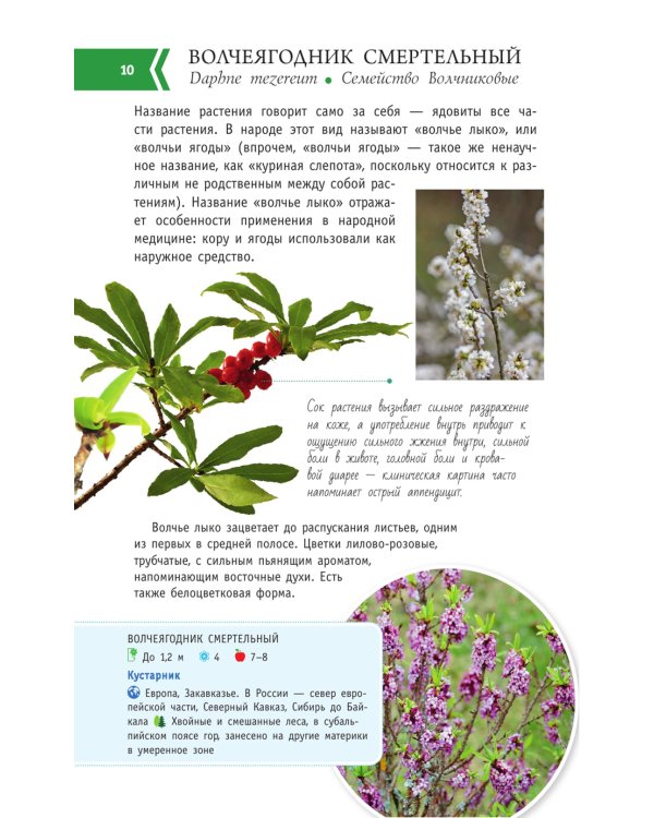 Опасные растения