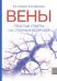 Обложка книги «Вены. Простые ответы на сложные вопросы» — Илюхин Евгений Аркадьевич;Кургинян Хачатур Михайлович, ISBN 9785002820849