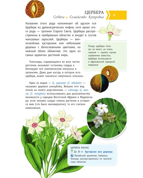 Опасные растения