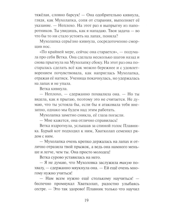 Коты-воители. Неистовая буря