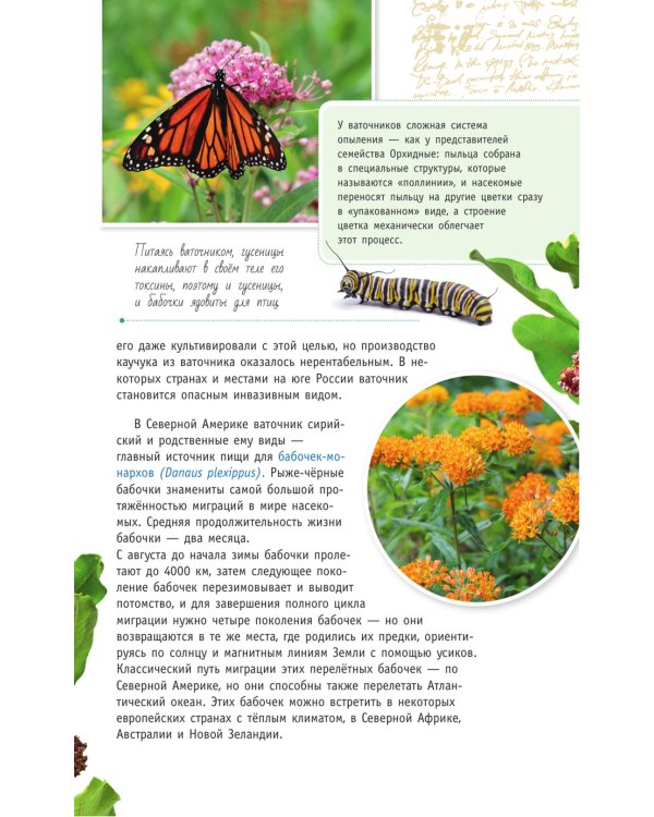 Опасные растения