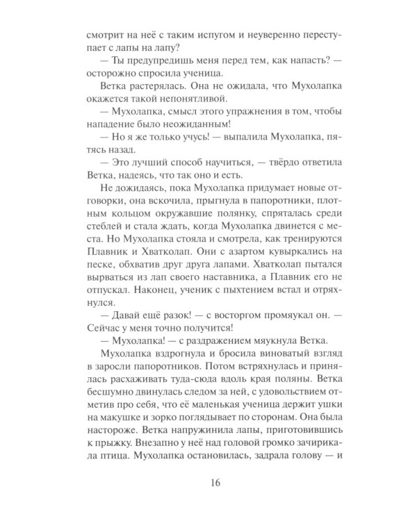 Коты-воители. Неистовая буря