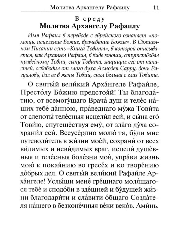 Под покровом ангельских Сил. Молитвы святым Архангелам и Ангелам