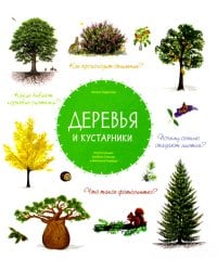 Деревья и кустарники