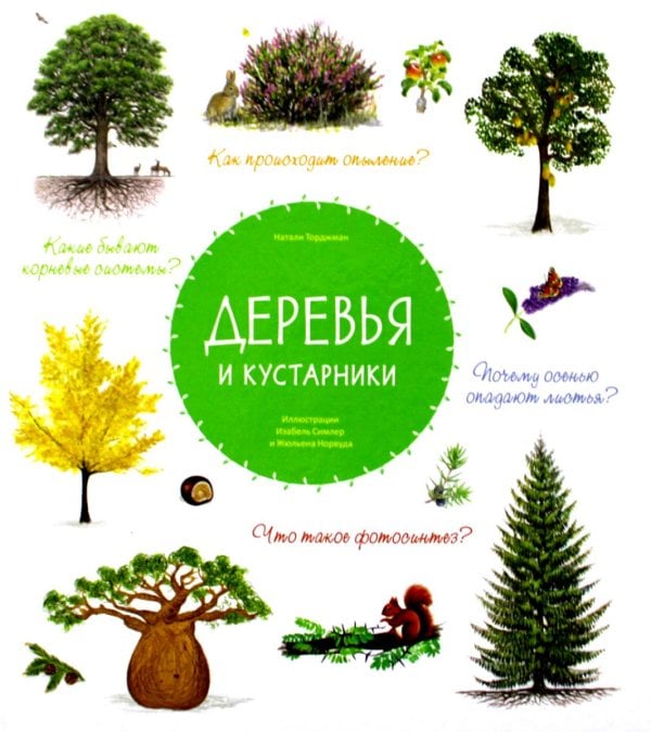 Деревья и кустарники