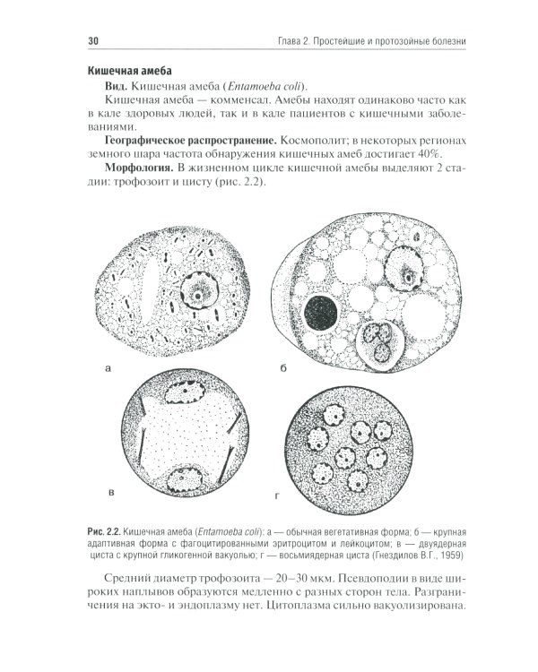 Медицинская паразитология и паразитарные болезни: Учебное пособие. 3-е изд., перераб. и доп