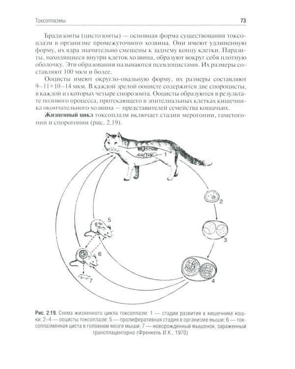 Медицинская паразитология и паразитарные болезни: Учебное пособие. 3-е изд., перераб. и доп