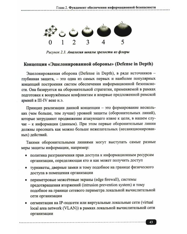Информационная безопасность: анализ и оценка угроз, кибер/криптозащита организаций, разработка безопасного ПО