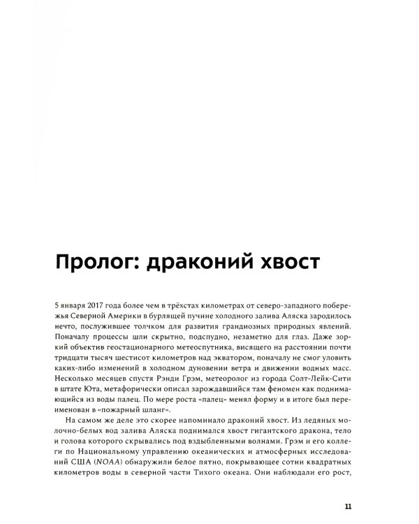 Драконы в снегу. 28 историй о лавинах