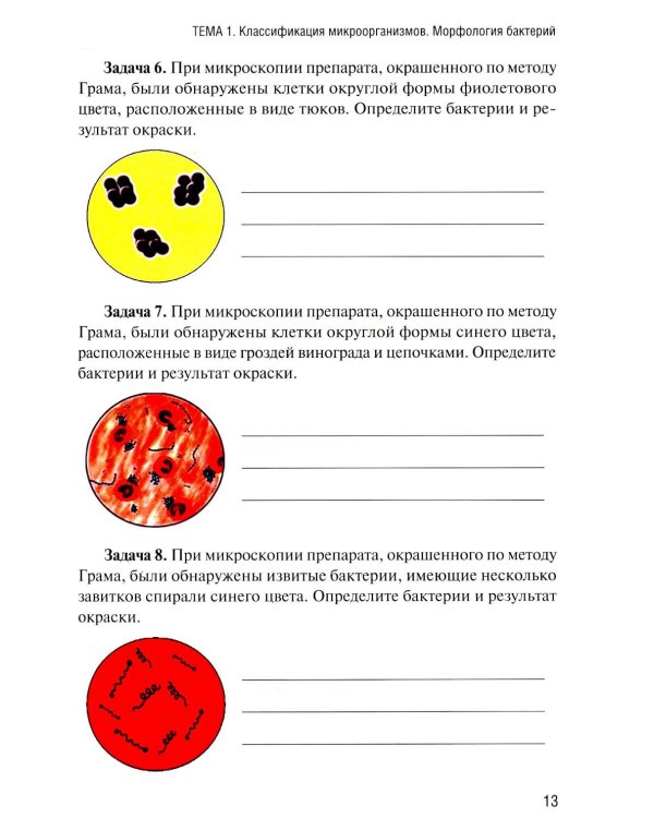 Дополнительное изображение книги «Основы микробиологии и иммунологии: рабочая тетрадь для внеаудиторной работы. 3-е изд. перераб. и доп»