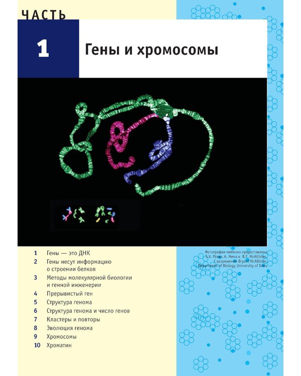 Дополнительное изображение книги «Гены по Льюину. 5-е изд., испр»