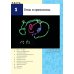 Дополнительное изображение книги «Гены по Льюину. 5-е изд., испр»
