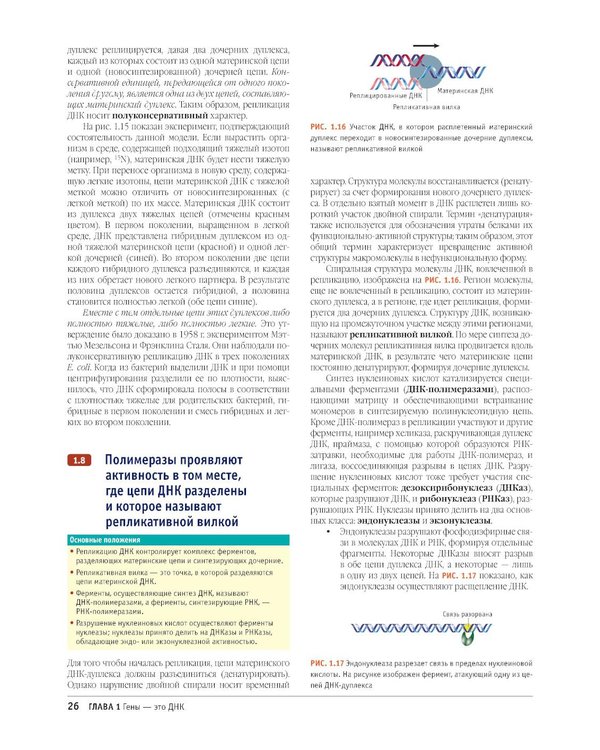 Дополнительное изображение книги «Гены по Льюину. 5-е изд., испр»