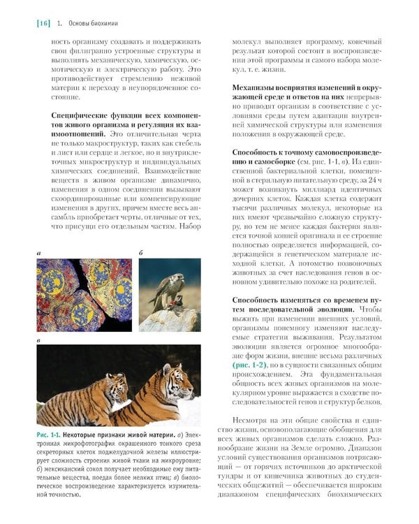 Дополнительное изображение книги «Основы биохимии Ленинджера. В 3 т. Т. 1: Основы биохимии, строение и катализ. 5-е изд., перераб.и доп»