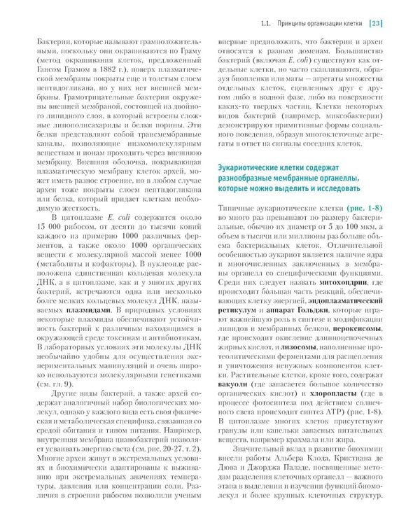 Дополнительное изображение книги «Основы биохимии Ленинджера. В 3 т. Т. 1: Основы биохимии, строение и катализ. 5-е изд., перераб.и доп»