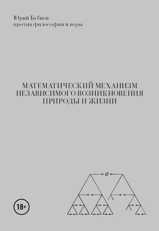 Обложка книги «Математический механизм независимого возникновения природы и жизни» — Бубнов Юрий, ISBN 9785449133120