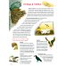 Книга о птицах. BIObook А. Толмачева