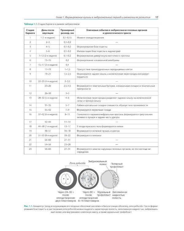 Заболевания вульвы по Ридли. Практическое руководство