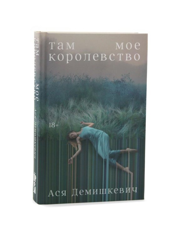 Там мое королевство; Под рекой; Раз мальчишка, два мальчишка (комплект из 3-х книг)