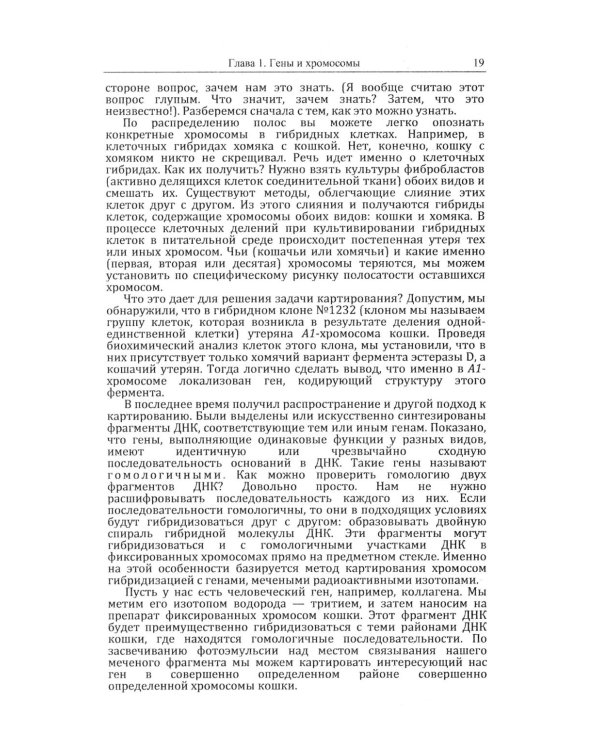 Кошки и гены: Современная генетика в популярном изложении