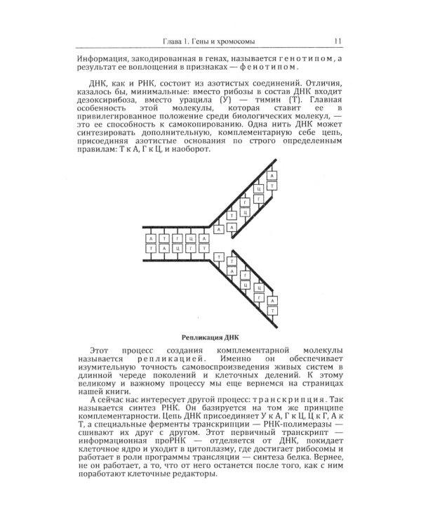 Кошки и гены: Современная генетика в популярном изложении