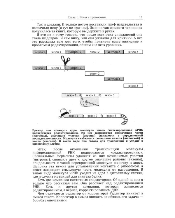 Кошки и гены: Современная генетика в популярном изложении