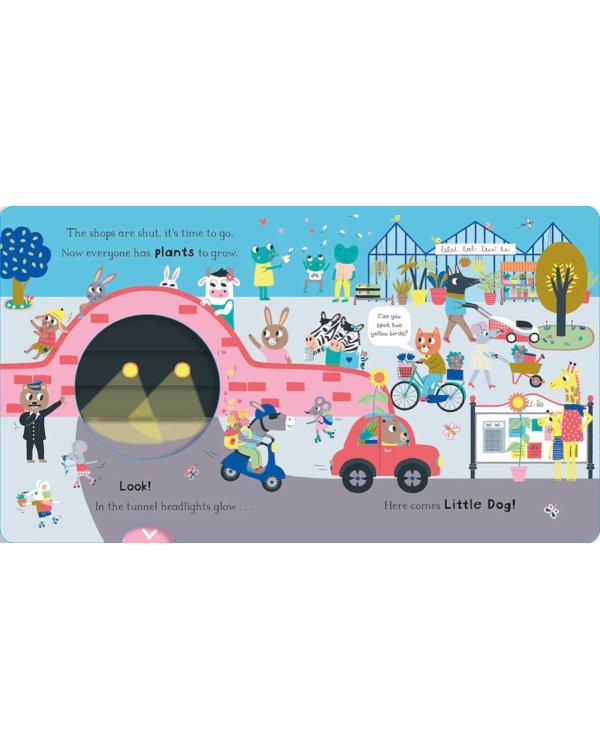 Can You See Little Dog?