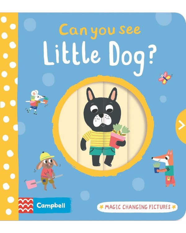 Can You See Little Dog?