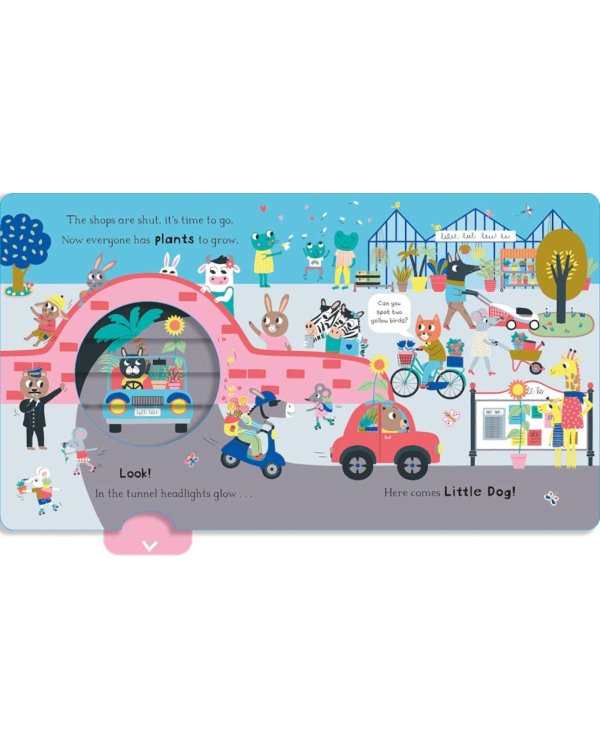 Can You See Little Dog?