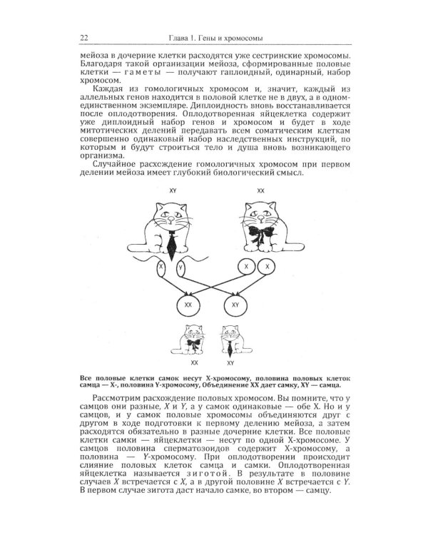 Кошки и гены: Современная генетика в популярном изложении