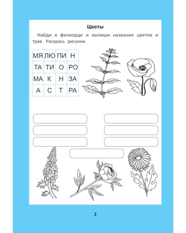 Веселые филворды: словарные головоломки для начальной школы. 5-е изд