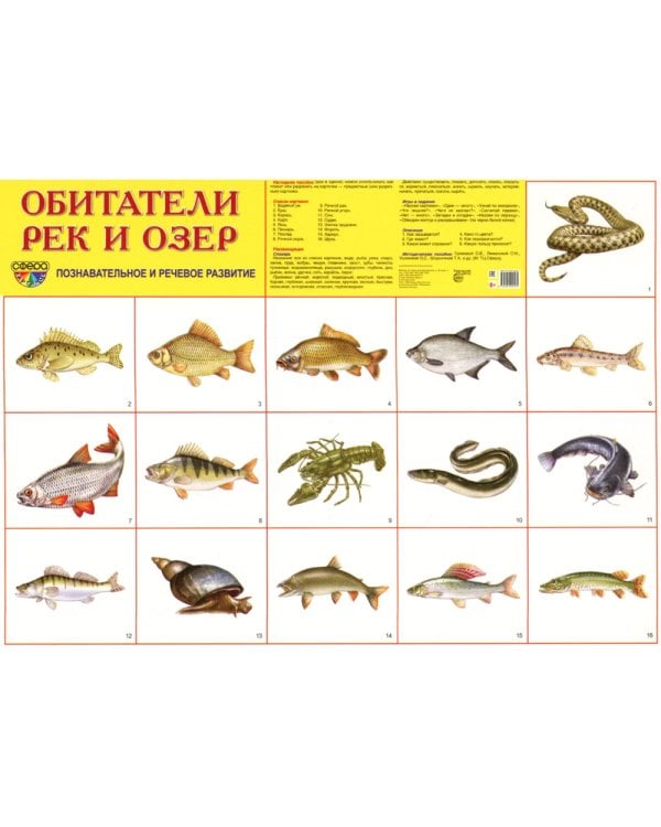 Демонстрационные картинки. Обитатели рек и озер: 16 демонстрационных картинок с текстом