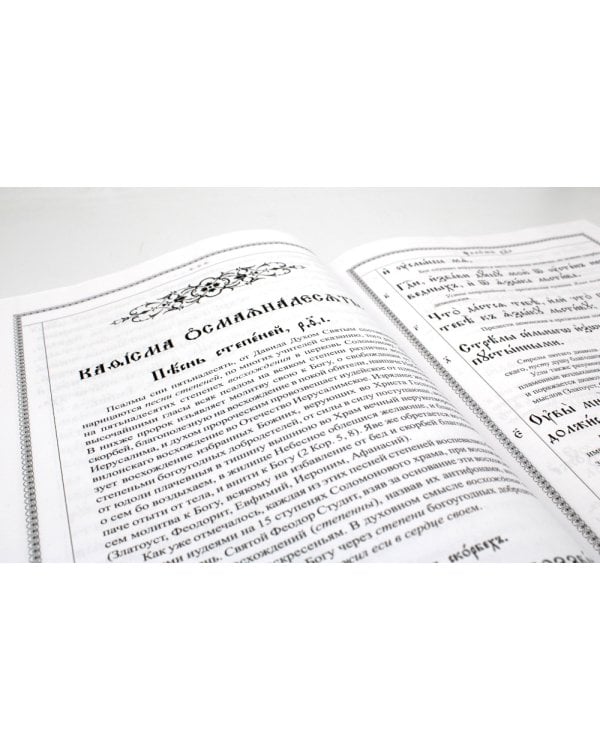 Псалтирь с толкованием: на церковнославянском языке (крупный шрифт)