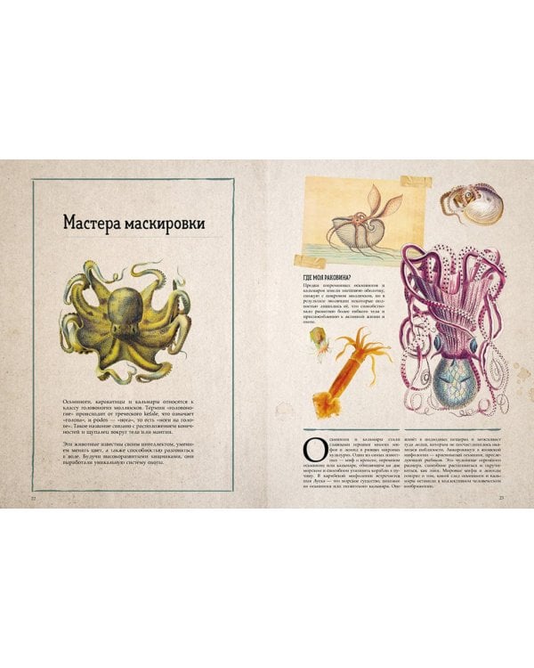 Морские сокровища