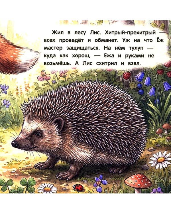 Дополнительное изображение книги «Как Лис Ежа перехитрил»