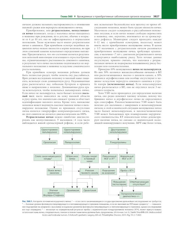 Педиатрия по Нельсону. В 4 т. Т. 4