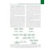 Педиатрия по Нельсону. В 4 т. Т. 4