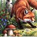 Дополнительное изображение книги «Как Лис Ежа перехитрил»