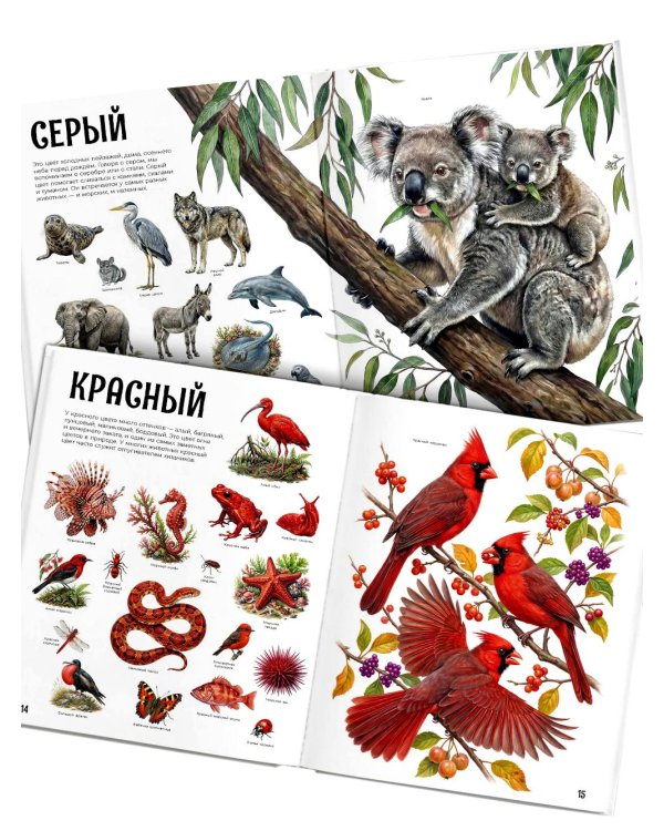 Дополнительное изображение книги «Гигантская книга малыша. Животные»
