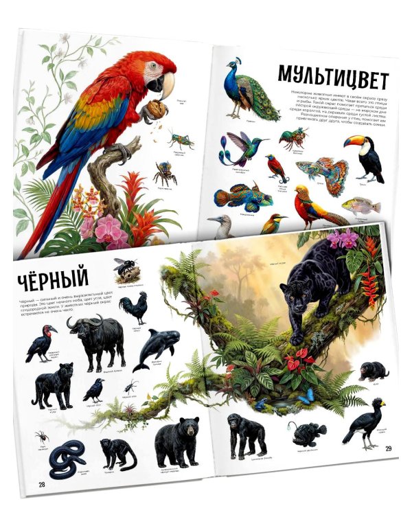 Дополнительное изображение книги «Гигантская книга малыша. Животные»