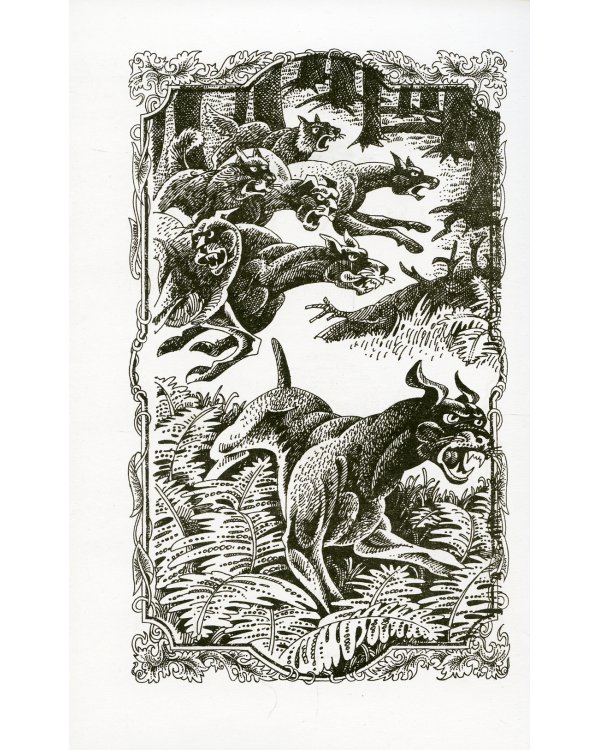 Коты-воители. Опасная тропа